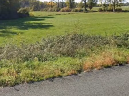 vente terrain 500 m² saint-genès-de-fronsac (33240)