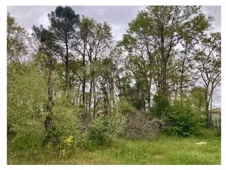 terrain à bâtir à saint-médard-en-jalles (33160)