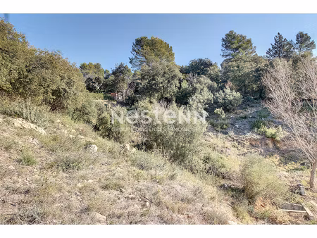 annonce terrain à vendre