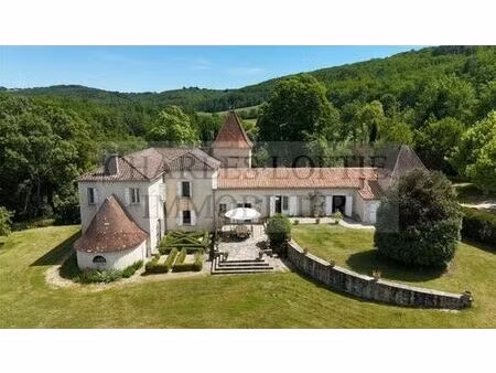 maison de prestige de 323 m2 en vente puy-l'évêque  occitanie