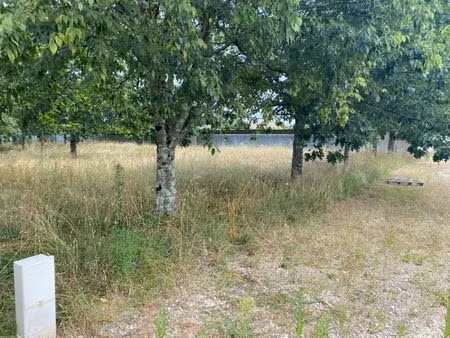 vente terrain 509 m² le pout (33670)