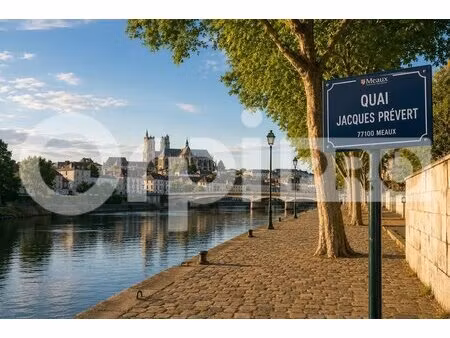 location commerce meaux 77100 100m²