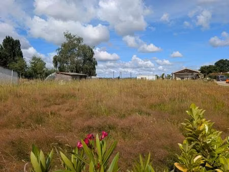 terrain constructible
