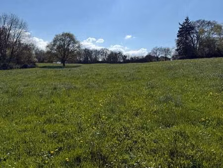 vente terrain à poillé-sur-vègre (72350) : à vendre / 19162m² poillé-sur-vègre
