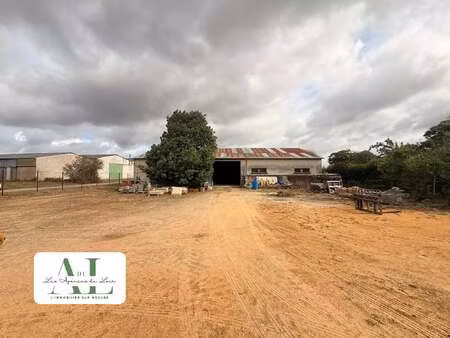 vente bureaux et commerces à luché-pringé (72800) : à vendre / 300m² luché-pringé
