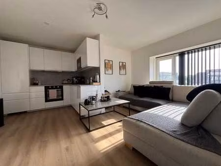 appartement entièrement rénové avec 1 chambe à coucher