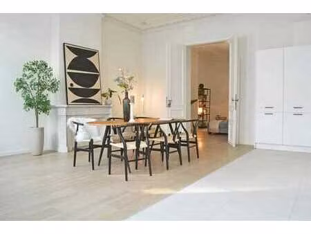 spacieux appartement rénové au cœur de bruxelles
