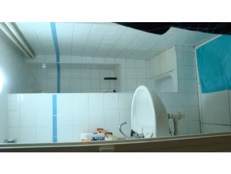 location appartement 1 pièce 20 m² à lyon 3 (69003)
