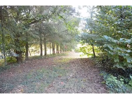 terrain constructible  contenance 1590 m²