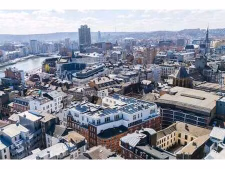penthouse lumineux avec terrasse au cœur de liège