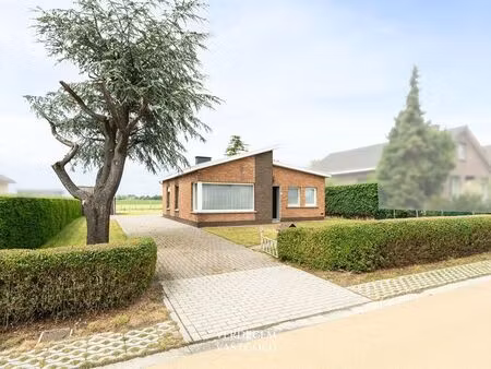 maison à vendre à zelzate € 305.000 (lp9ha) - zelzate- verdegem vastgoed | zimmo
