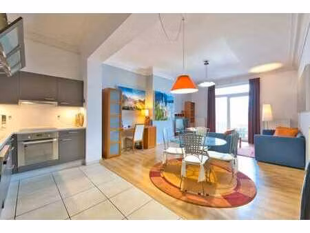 appartement meublé 1ch standing+terrasse+pkg-louise