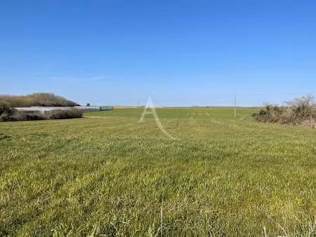 vente terrain à montreuil (85200) : à vendre / 3243m² montreuil