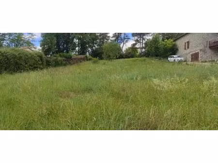 terrain constructible