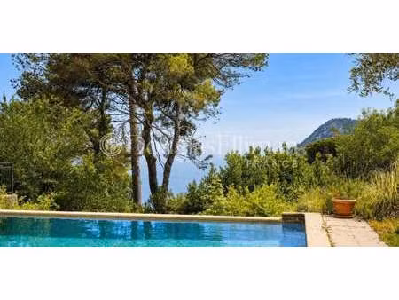 villa avec piscine la turbie (06)