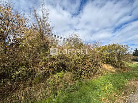 terrain villebrumier 1108 m2