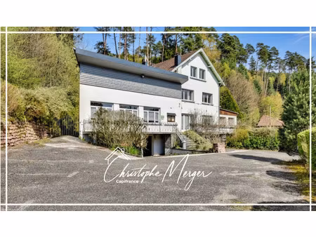 maison à vendre abreschviller 12 pièce(s) 440m2 350 000€