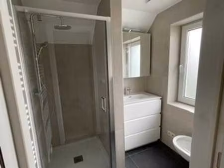 agréable et lumineux duplex 2 ch