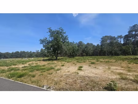 vente terrain à construire 1144 m² vendays-montalivet (33930)