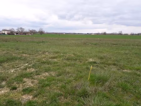 vente terrain 655 m² à montans (81600)  67 260 €