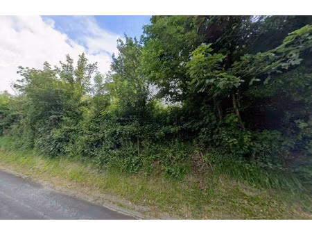 vente terrain 1000 m² à marles-sur-canche (62170)  50 000 €