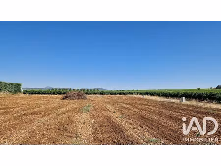 vente terrain 648 m² à adissan (34230)  150 000 €