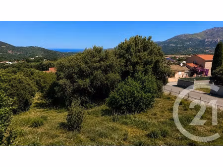 vente terrain à batir 1105 m² à calenzana (20214)  225 000 €