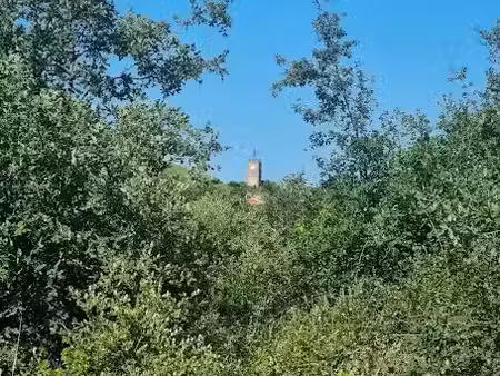 vente terrain 660 m² à montesquieu-des-albères (66740)  184 900 €