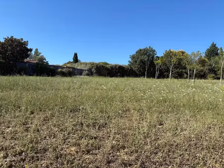 vente terrain 600 m² à cépet (31620)  110 000 €