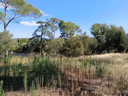 vente terrain 216 m² à cournonterral (34660)  142 000 €