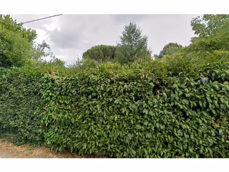 vente terrain 475 m² à bordeaux (33000)  359 700 €