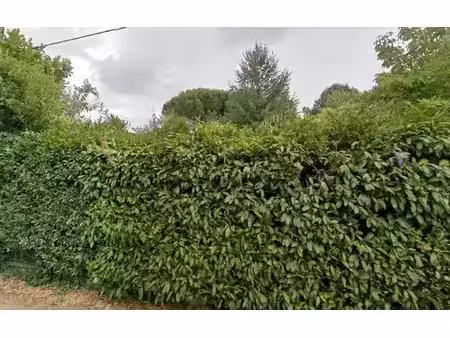 vente terrain 570 m² à bordeaux (33000)  400 000 €
