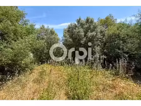 vente terrain 1230 m² à cavalaire-sur-mer (83240)  495 000 €