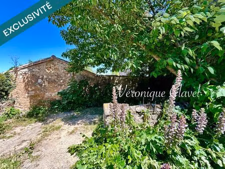 maison de village du xix sans vis à vis avec jardin ombragé de 39m2