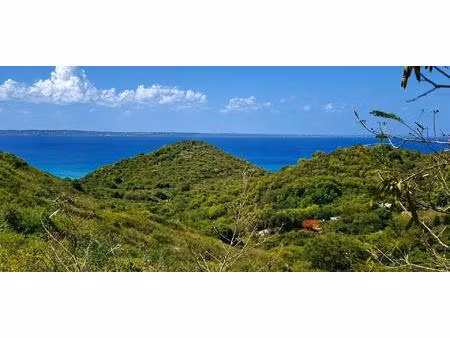 terrain en zone iina
