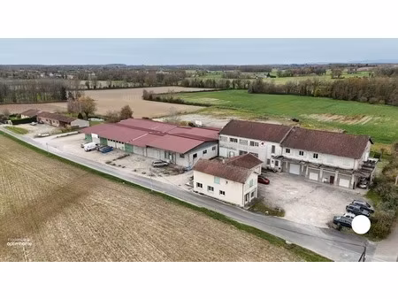 à vendre – immeuble mixte avec locataires et terrain – 01400 neuville-les-dames