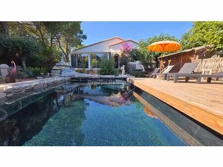 sarl calvet immobilier