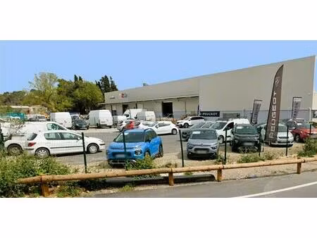 location local d'activités la roquette sur siagne 600 m²