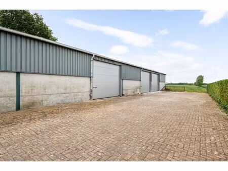 commercieel te huur in zandvliet