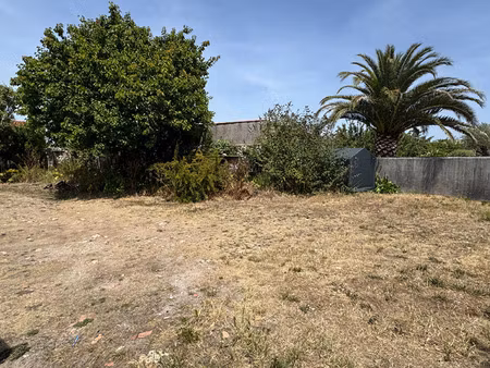 vente terrain 431 m² sainte-marie-de-ré (17740)