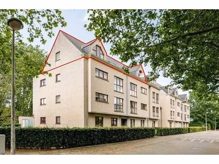 penthouse à vendre à frankenweg 36/7 lier (rbw20388)