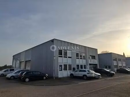 vente local d’activités nancy 54000 350m²