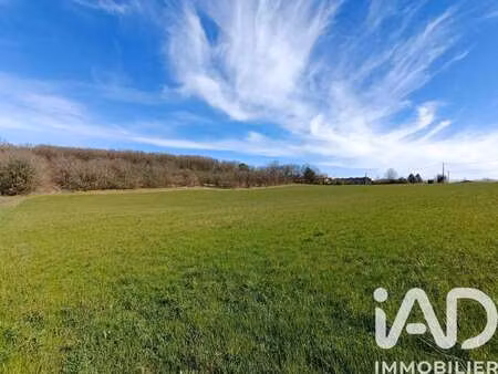 vente terrain piscine à jayac (24590) : à vendre piscine / 9718m² jayac