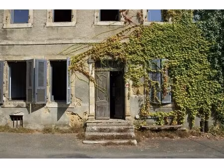estang coeur de ville - maison en pierre 7 chambres avec jardin