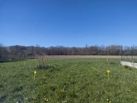 terrain constructible