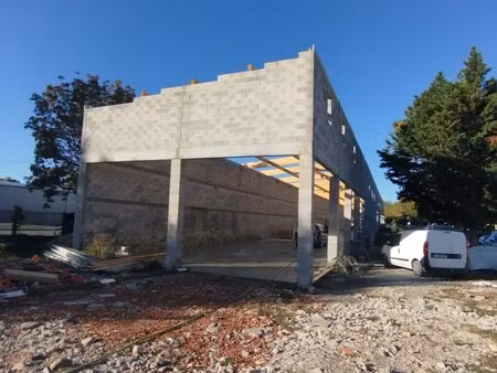 location local d’activités fenouillet 31150 860m²