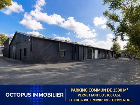location local d’activités saint jory 31790 353m²
