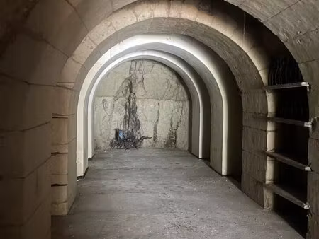 terrain de 895 m² en partie constructible avec cave