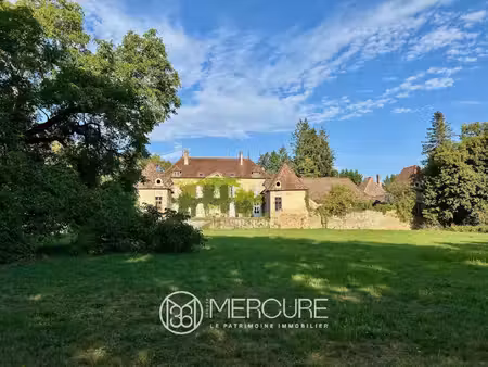 château à vendre dans le quartier centre ville