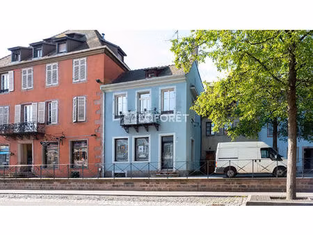 immeuble selestat 10 pièces 213.6 m2